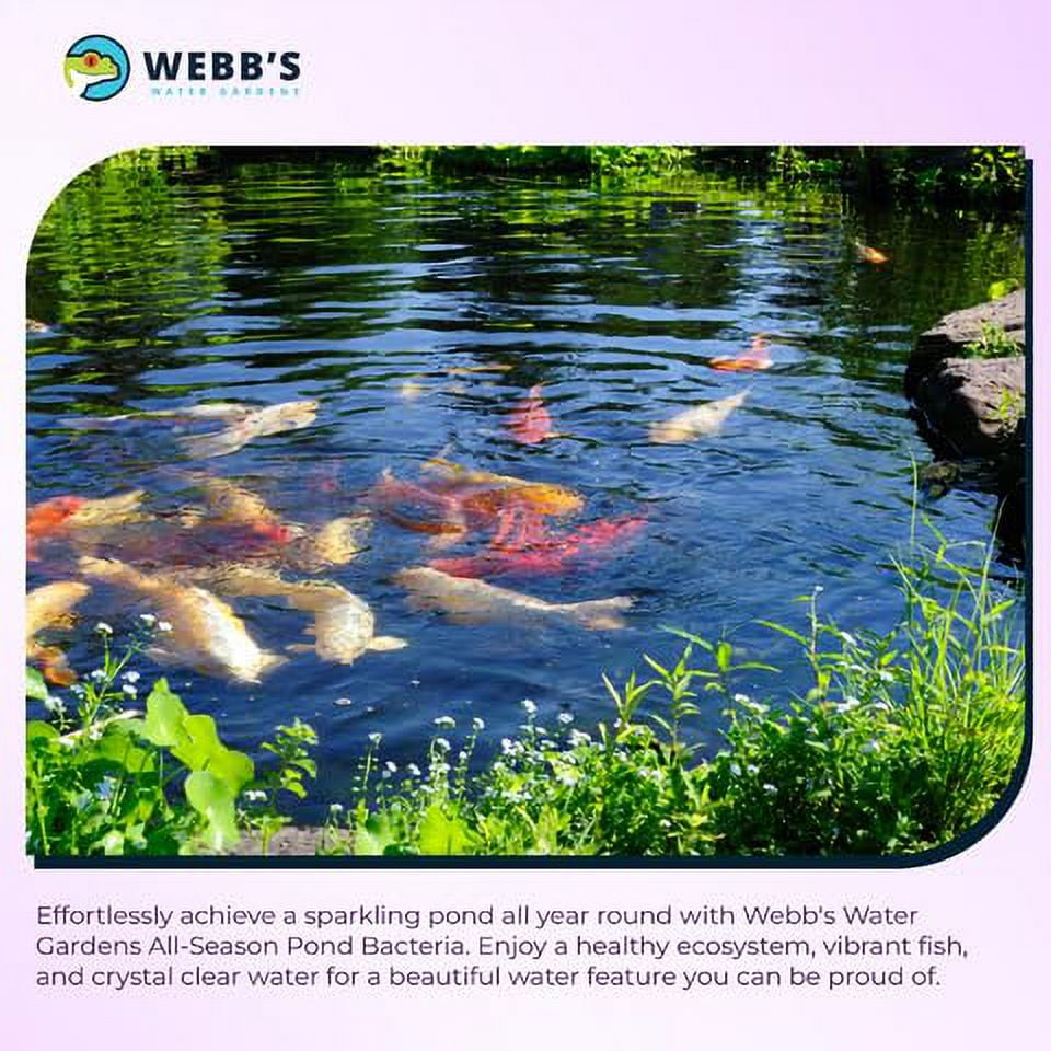 Webb's Water Gardens All-Season Pond Bacteria with Barley Packets - Supports up to 1000 Gallons - 12 Packets for Easy Application - 5 Pounds - Ideal for Clearing Pond Water and Mai