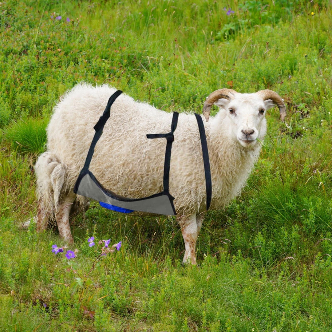 Anti Breeding Buck Apron Anti Mating Skirt with Chest Strap for Goats Sheep and Collar Breeding Control Goat Skirt Adjustable Mating for Goats Shee Blue