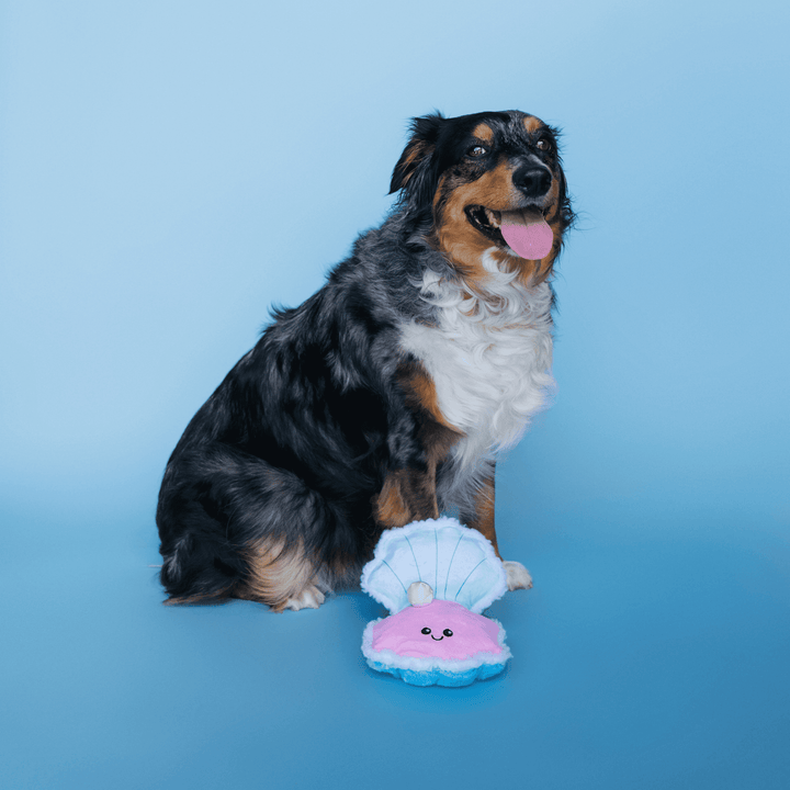 Bundle x Joy Oyster with Pearl Plush for Dogs with Squeaker, Crinkle & Softness for Added Joy