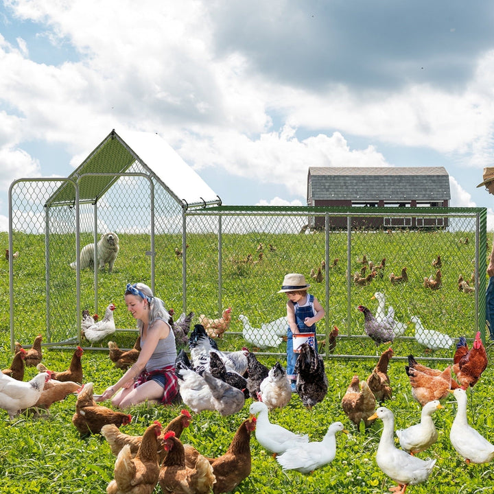 Lumiparty Large Metal Chicken Coop with Waterproof and Anti-UV Cover, Fits 10 Chickens, Rabbits, Ducks, Silver