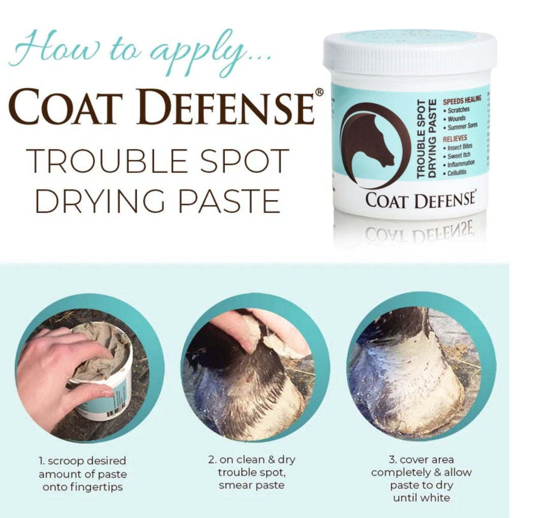 Coat Defense Trouble Spot Drying Paste for Horses | 24oz
