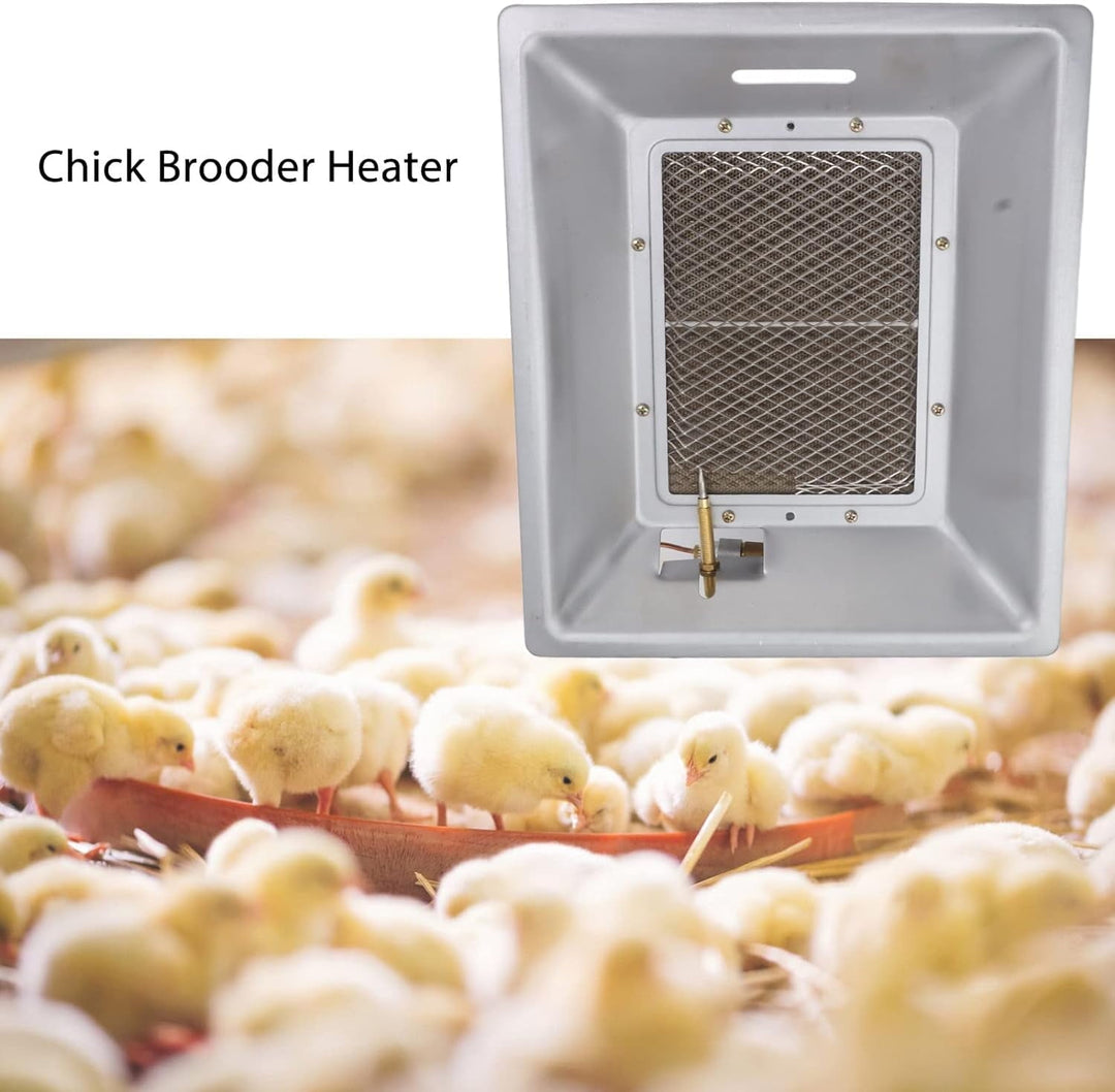 Fdit Large Heating Area, Efficient Manual Infrared Gas Brooder Heater, Warm 700 to 900 Chicks, Applicable for Poultry Coop, Duck, Piglet House