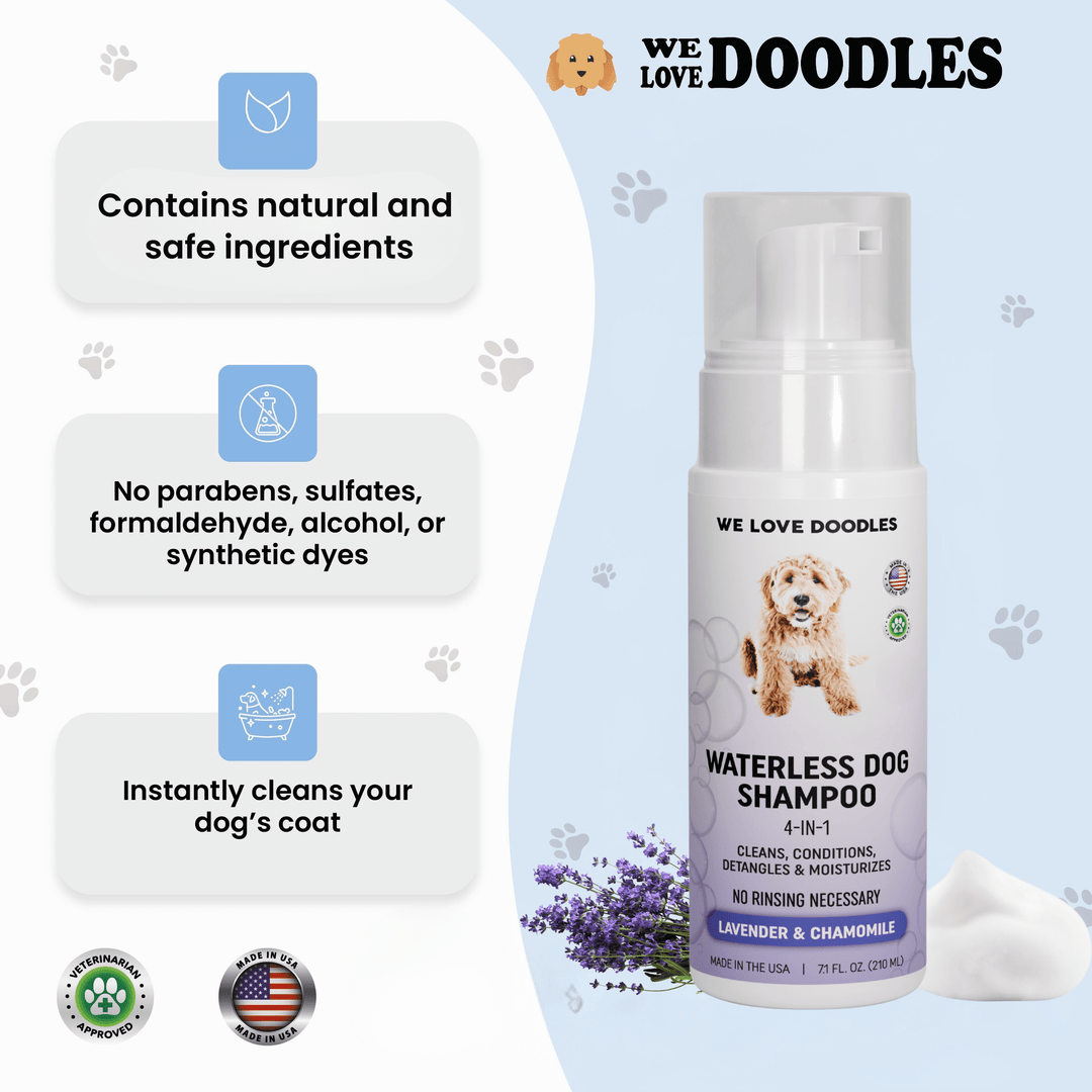 Waterless Dog Shampoo - Cleans & Moisturizes Coat, No Rinse Dog Shampoo, Safe Foam Formula & Pet-Friendly Dog Deodorizing Spray, 7.1 oz [We Love Doodles] (Lavender)