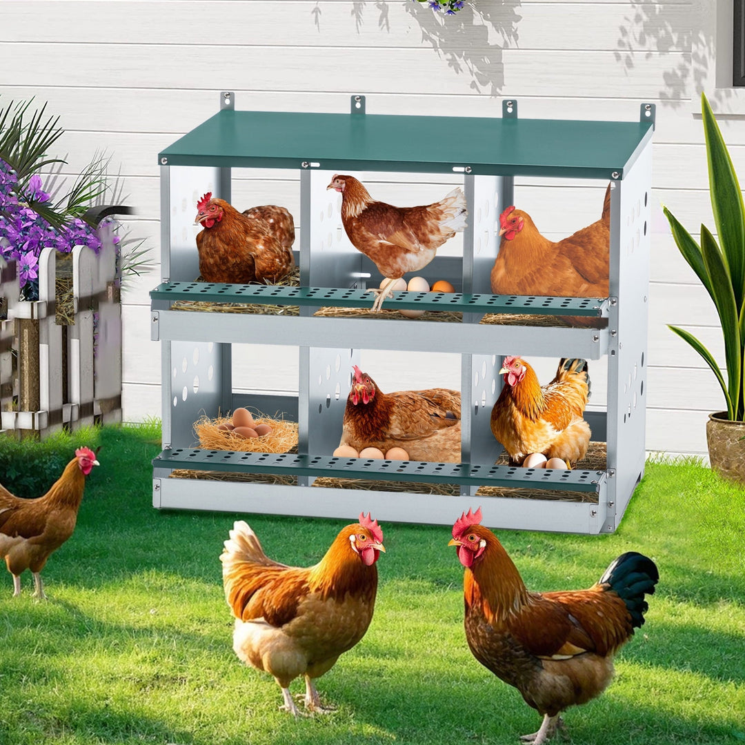 Chicken Nesting Box, 6 Compartment Metal Nesting Boxes for Hens Laying Eggs, Roll Away Chicken Laying Boxes with Egg Collection