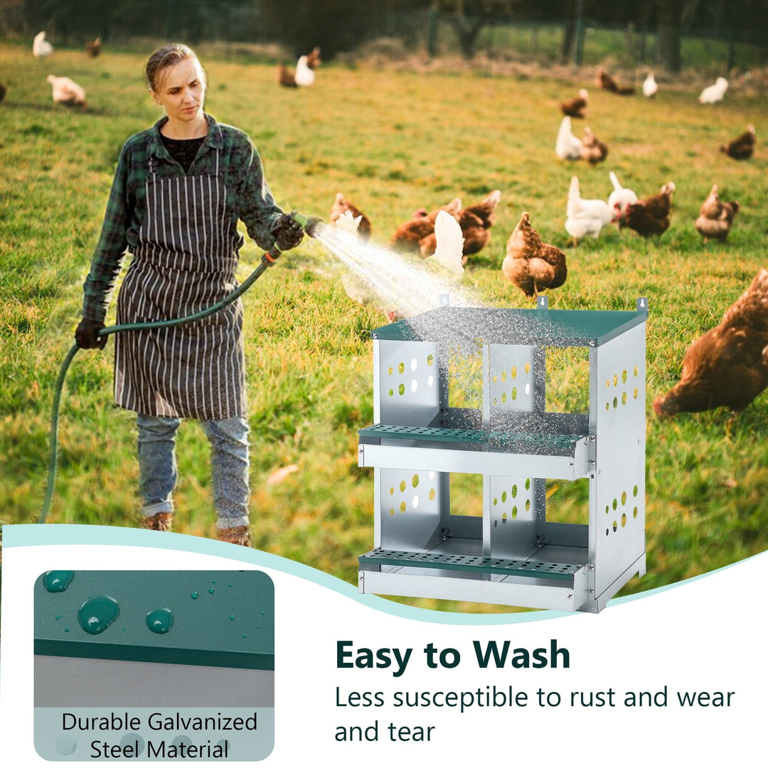 Zephypaws 4 Compartments Wall Mount Chicken Nesting Boxes for Laying Eggs, Hen Nest Box Roll Away Chicken Laying Boxes, Green