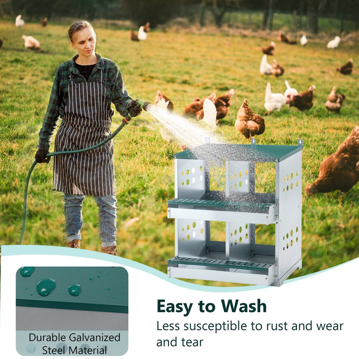 Zephypaws 4 Compartments Wall Mount Chicken Nesting Boxes for Laying Eggs, Hen Nest Box Roll Away Chicken Laying Boxes, Green
