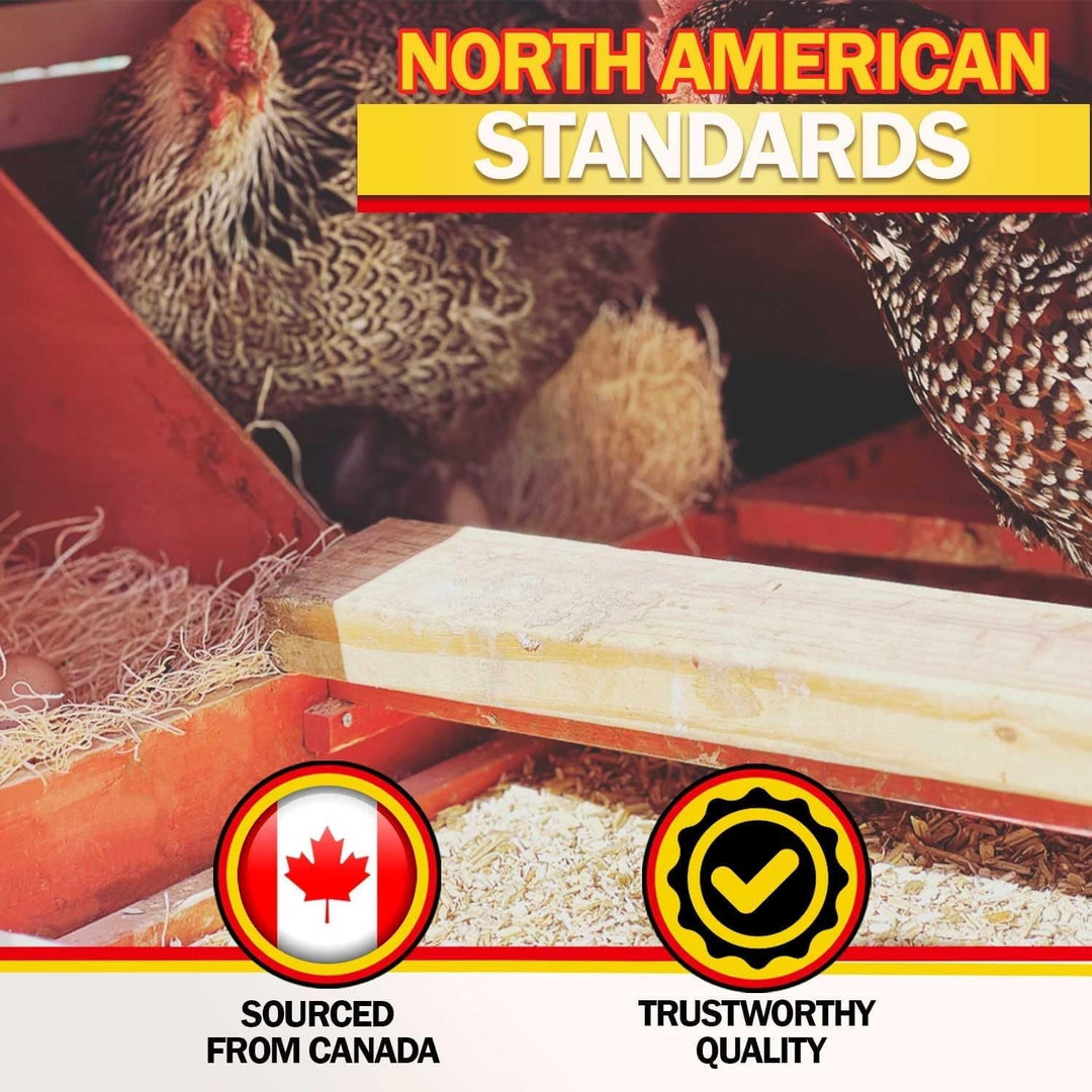 Hemp Bedding for Chicken Coop with Anti Odor DooKashi - Small Animal Litter for Guinea Pig, Hamster, Bunny Rabbit, Snake, Ferret, Tortoise, Rat - Wood Shavings Alternative for Poultry (1cuft)