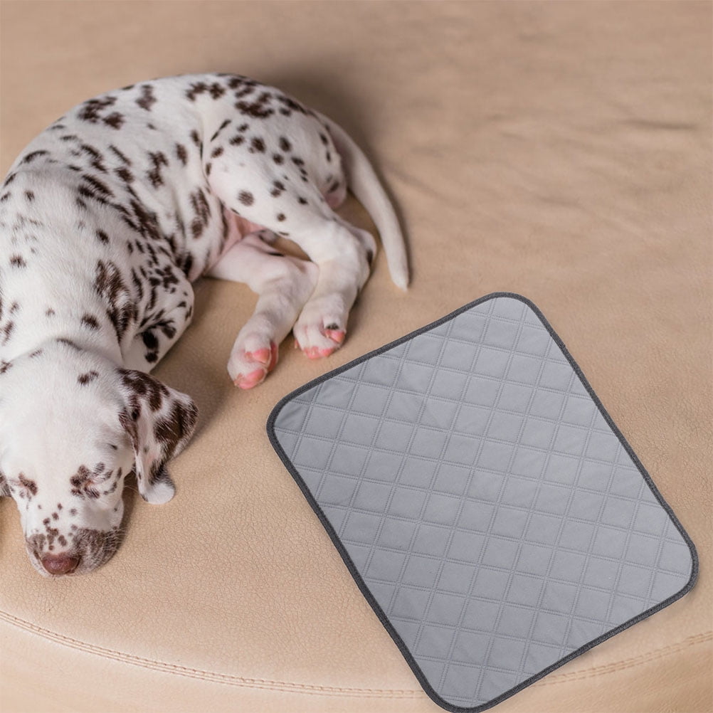2 Pcs Hamster Cage Mat Small Pet Liners Fleece Bedding for Guinea Pigs Dog Urine Pad