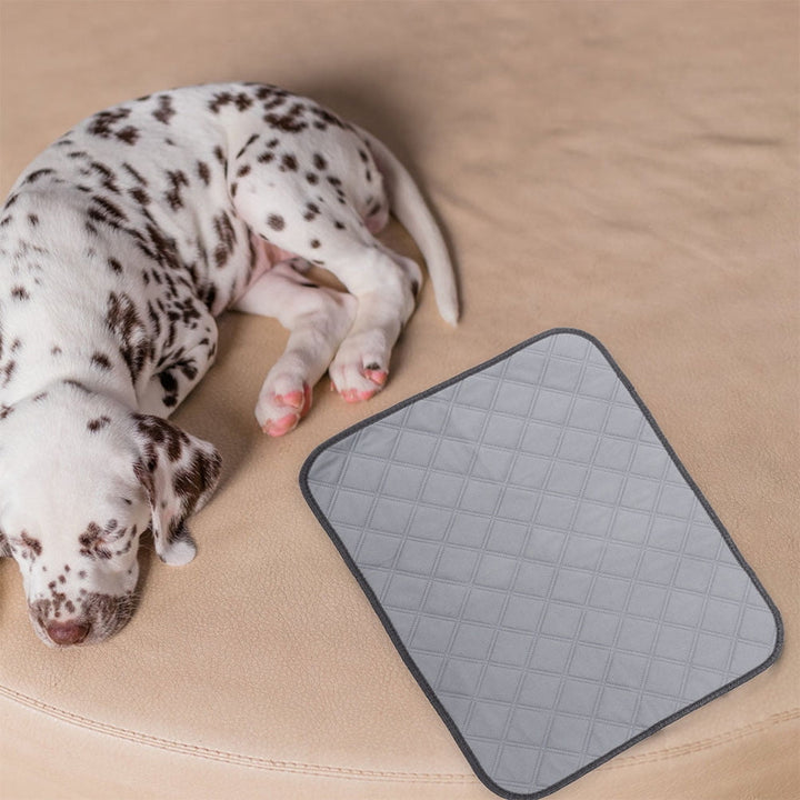 2 Pcs Hamster Cage Mat Small Pet Liners Fleece Bedding for Guinea Pigs Dog Urine Pad