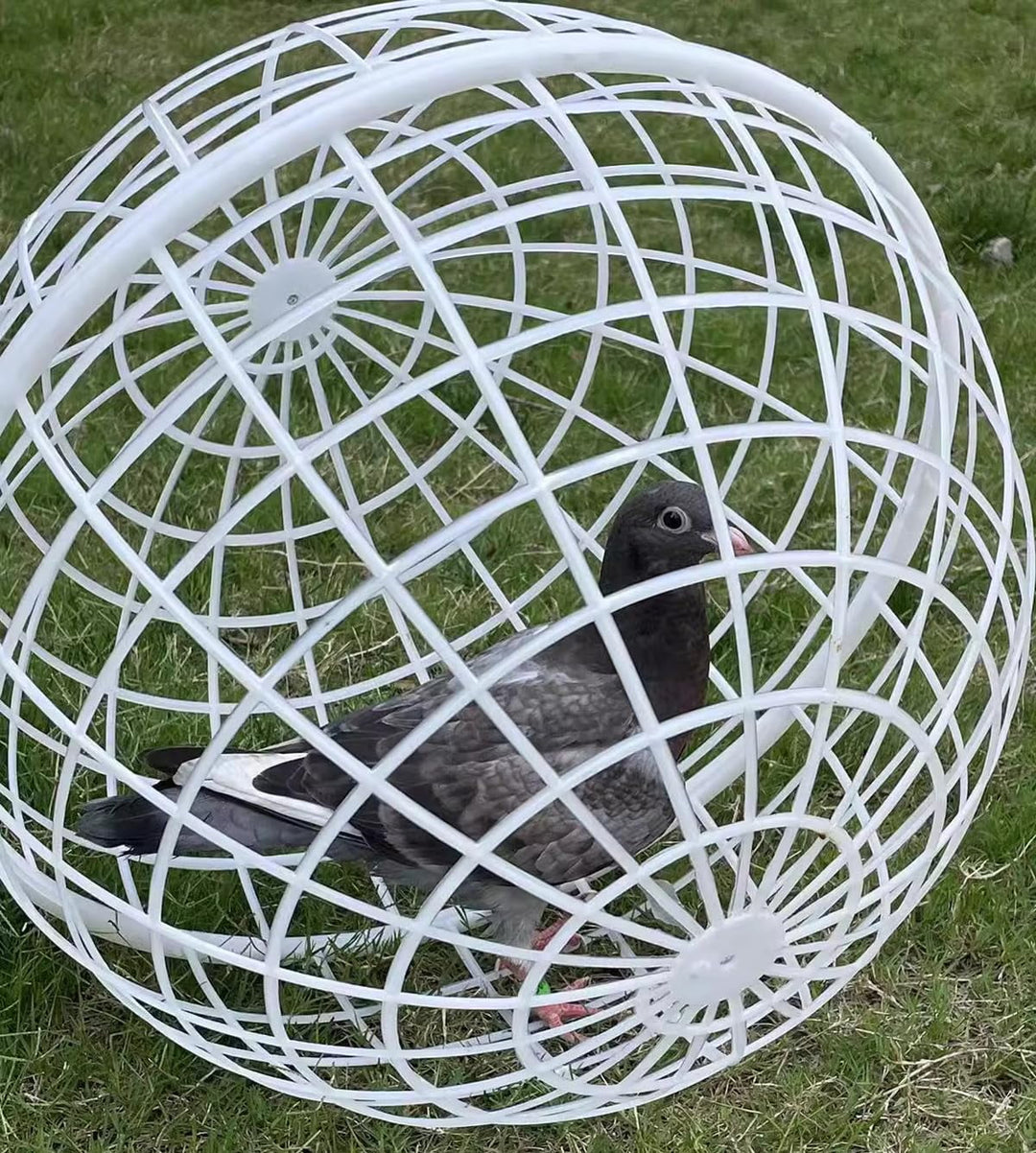 20CM Ball-Shaped Movable Chicken Coop, Outdoor Rollable Round Chicken Cage, Rabbits Ducks Safe Walking Cage, Chicks Ball Cage for Pet Outdoor Farm Use
