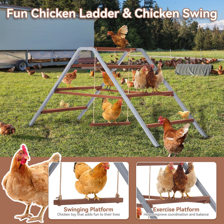 PETSFIT Chicken Roosting Bar,Solid Wood and Rustproof Iron Design, Chicken Perch with Swing for Healthy Poultry-Ideal for Backyard Coops, Farms, Easy to Assemble and Clean