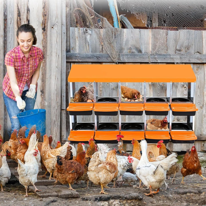 Chicken Nesting Box, 10 Compartments Nesting Boxes for Chickens, Chicken Laying Boxes, Roll Away Nesting Box for Chickens Laying Egg with Lid Cover to Protect Eggs