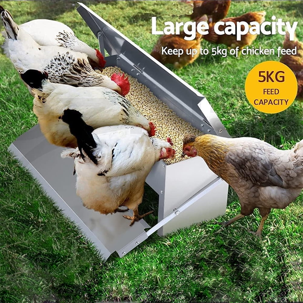 KRKZ 20.1" x 12.6" x 7.5" Silver Automatic Poultry Feeder - Long-Lasting Galvanized Chicken Feeder with Rain Cover - Metal Feeder Kit for Ducks, Bantams & Pheasants