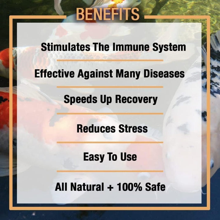 SCXP Sabbactisun Disease Treatment for Ponds and Outdoor Water Gardens, Disease Expellant for Pond Fish, 32 Fl Oz