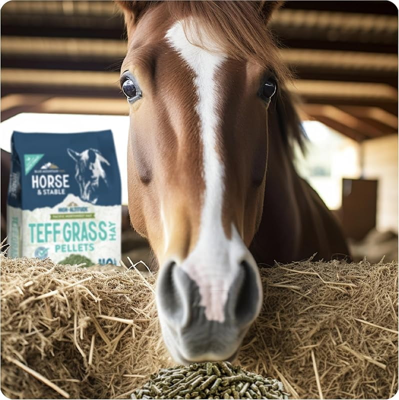 High Altitude Horse Hay Pellets | Ultra Premium Alfalfa, Timothy, Orchard, Teff Hay | Nutrient Dense | Cattle, Sheep, Alpaca, Rabbits (40 LB, Teff Grass)
