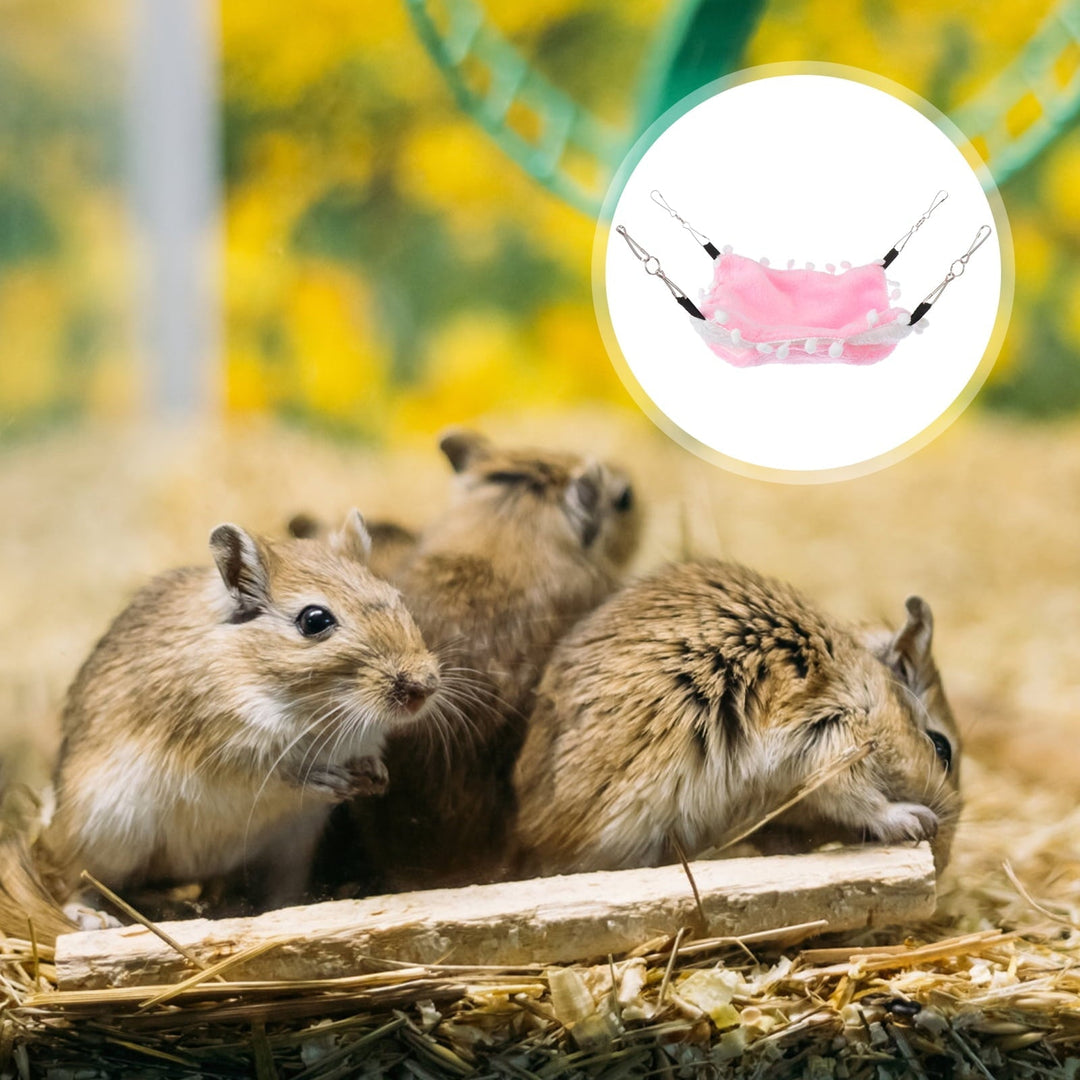Raindrops Small Hammock Bunkbed Hanging Nest for Hamster