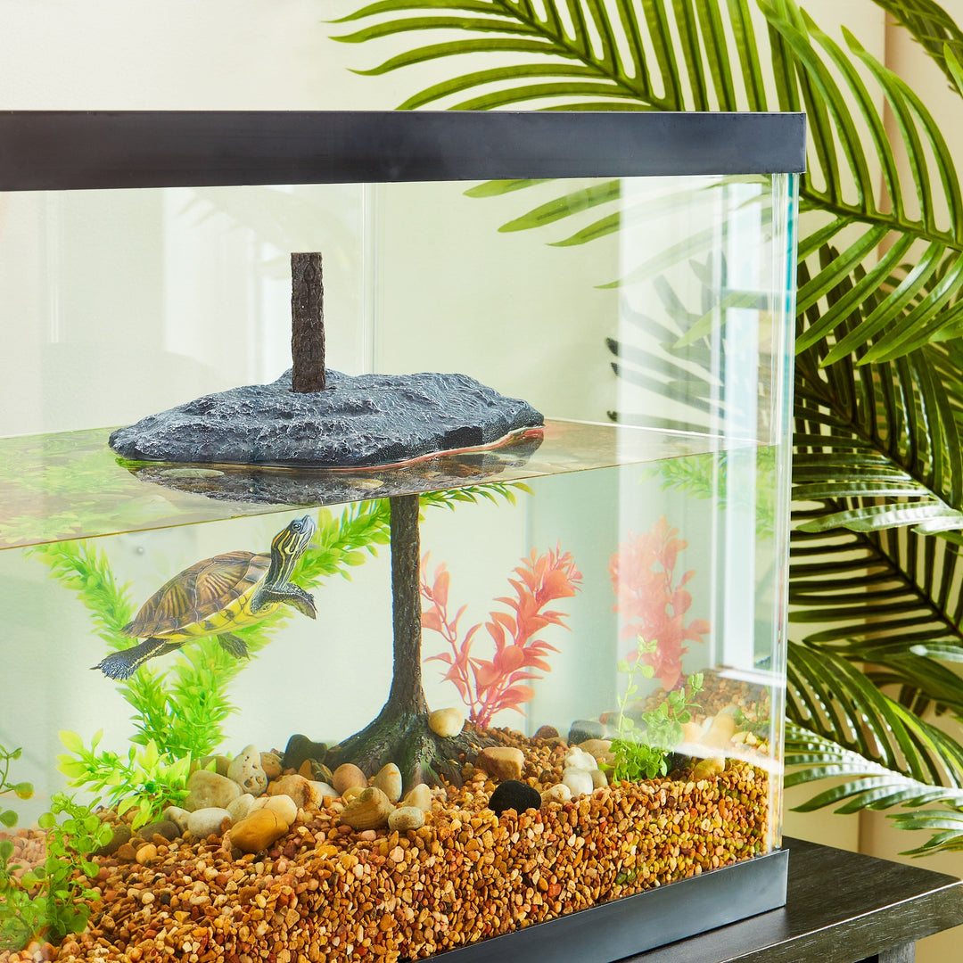 Vibrant Life Floating Turtle Platform Terrarium Decor