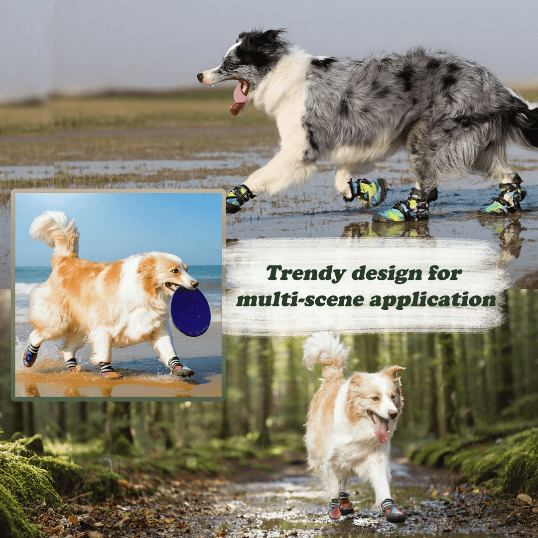 Furmate Dog Shoes for Smal Medium Large Dogs