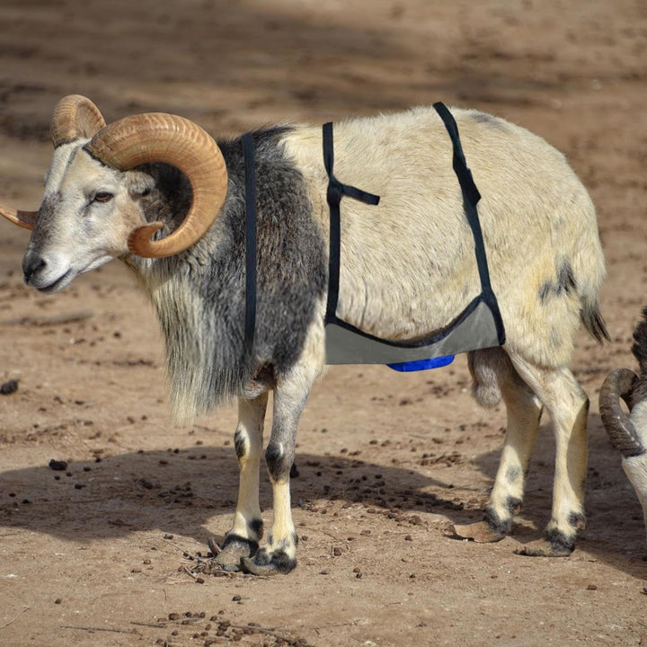 Anti Breeding Buck Apron Anti Mating Skirt with Chest Strap for Goats Sheep and Collar Breeding Control Goat Skirt Adjustable Mating for Goats Shee Blue