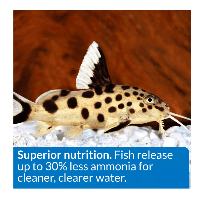 API® Bottom Feeder Premium Shrimp Pellets Fish Food,  1.5 Oz