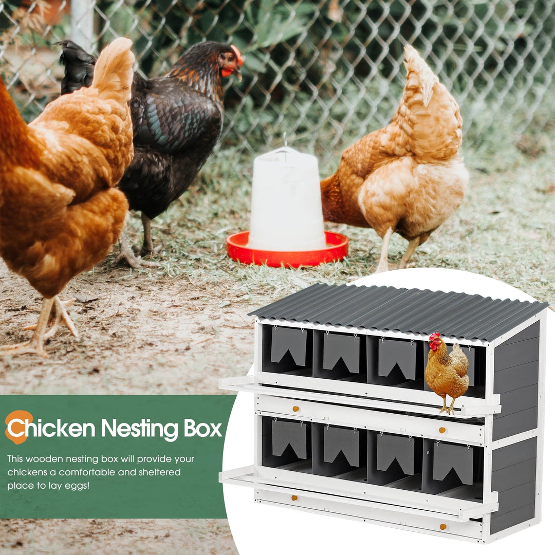 ZephyPaws Nesting Boxes for Chickens, Wooden Chicken Nesting Box, 8 Compartments Egg Laying Boxes for Hens, Ducks & Poultry with Rollout Eggs Collection, PVC Roofing and Foldable Perches