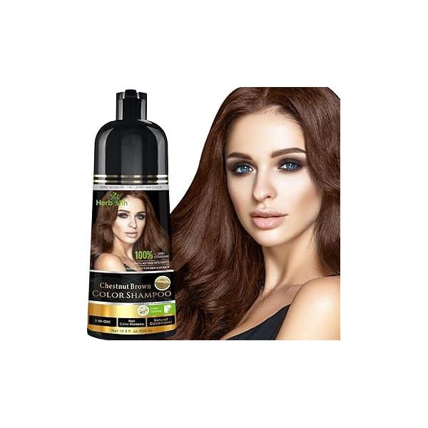 Herbishh Hair Color Shampoo for Gray - Natural Dye Colors in Minutes Lasts Up To 3-4 Weeks 500ML 3-In-1 Colors, Cleanses, and Conditions (Black)