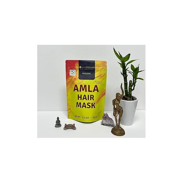 OnutPlanet All Natural Amla Hair Mask