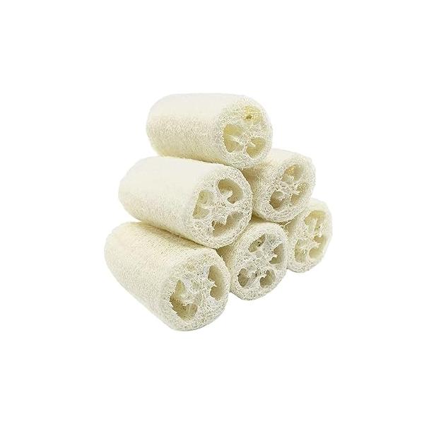 100% Large (5" Length) Nature 6 Pack of Organic Loofahs Loofah Spa Exfoliating Scrubber Natural Luffa Body Wash Sponge Remove Dead Skin Made Soap