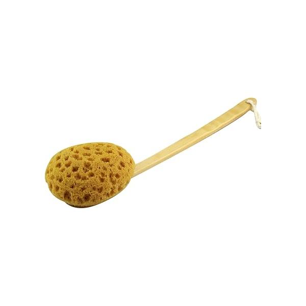 18'' Shower Body Brush Sea Sponge Long Wooden Handle Back Scrubber Bath Gentle Exfoliating Lotion Applicator
