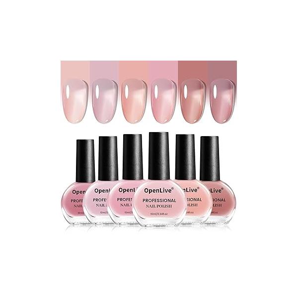 10ml Nude Pink Nail Polish Set 6 Colors Brown Red Purple All Seasons Neutral Color Quick Dry for Women Salon DIY Art