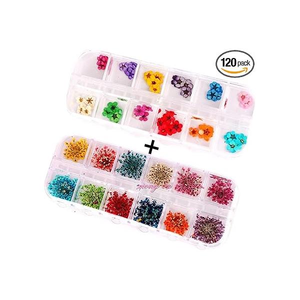 120 PCS/ 2Boxes Five Flower Three-Dimensional Applique 3D Nail Stickers Supplies Dried Flowers（Starry and Flower）