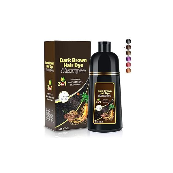 Black Hair Dye Shampoo 3 in 1 Champu Para Canas for Gray Coverage, Natural Herbal Color Women, shampoo para pintar el cabello