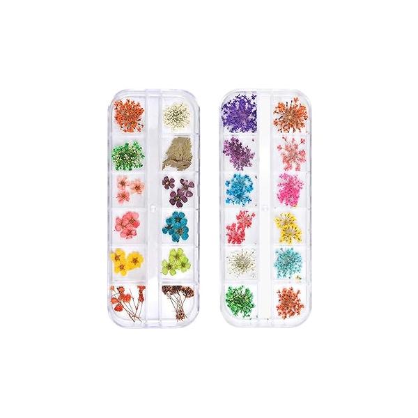 TEOYALL 24 Colors Dried Flowers for Nail Art, 2 Boxes 3D Dry Stickers Colorful Natural Real Flower Decals