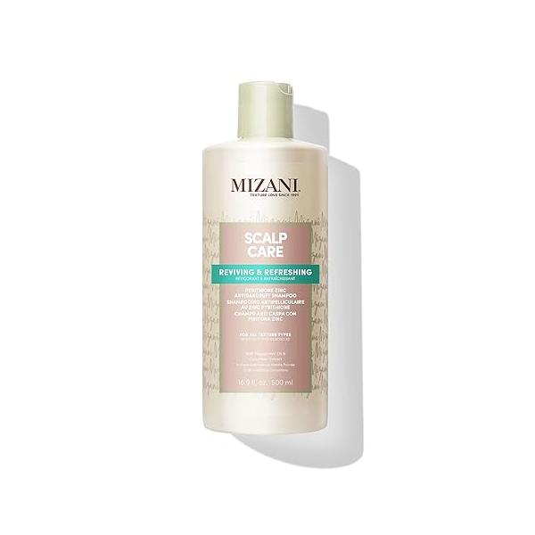 MIZANI Scalp Care Dandruff Shampoo - Cleanses Hair & Scalp, For Curly