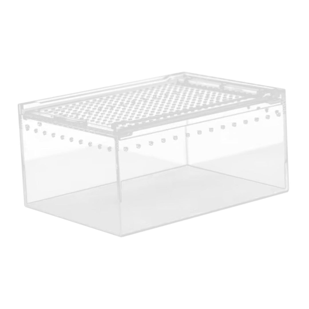 TOOYFUL Reptile Breeding Box Acrylic Animal Habitat Cage for Turtle Geckos Container 20cmx15cmx10cm