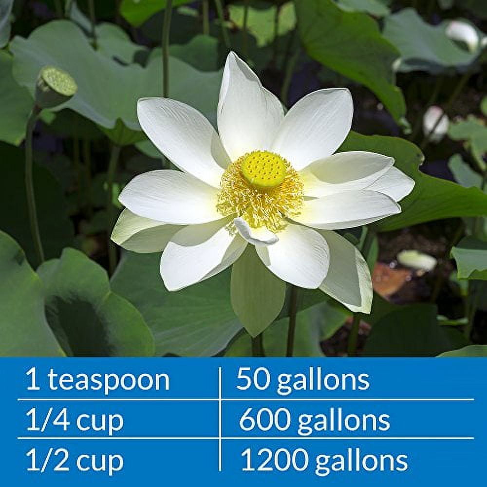 API PONDCARE MICROBIAL ALGAE CLEAN Green Water Biological Inhibitor (269D) 64-Ounce