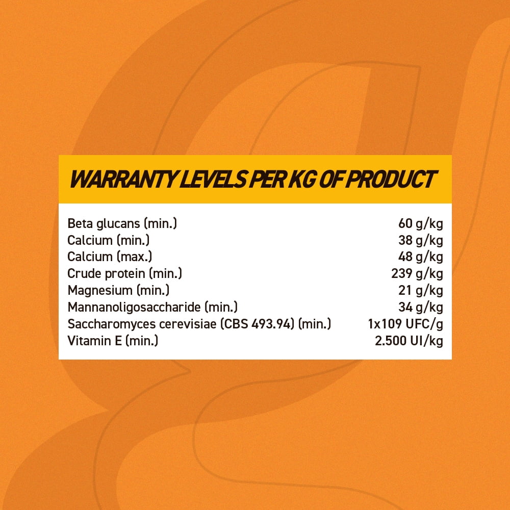 Organnact PROMUM EQUI to improve the natural immune system of horses 1.1 lb (500g)