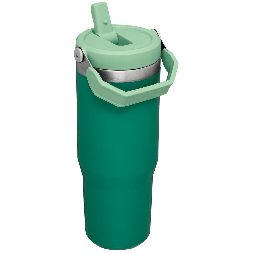 Stanley IceFlow Alpine Tumbler with Straw